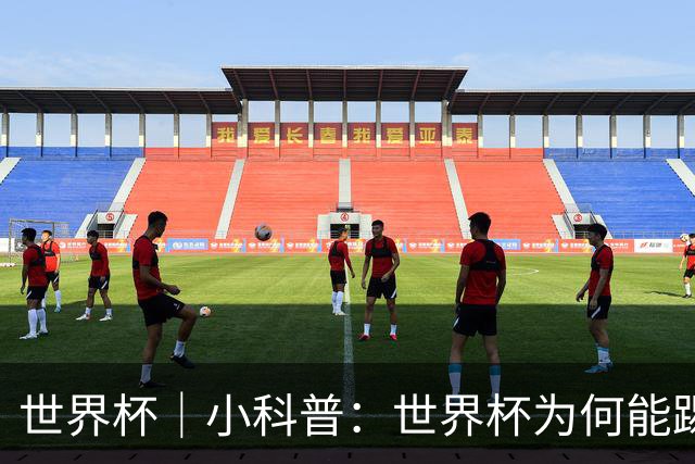 世界杯｜小科普：世界杯为何能踢出那么大的分差？